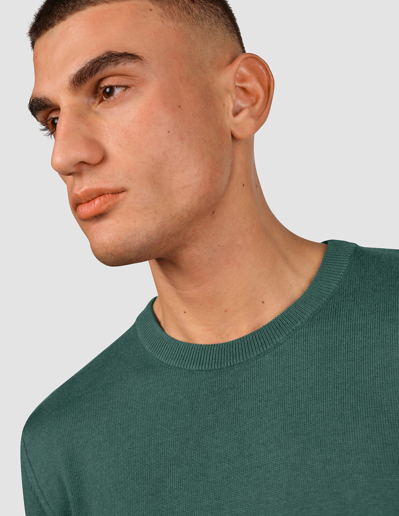 Everyday Knit Crewneck Shadow Green
