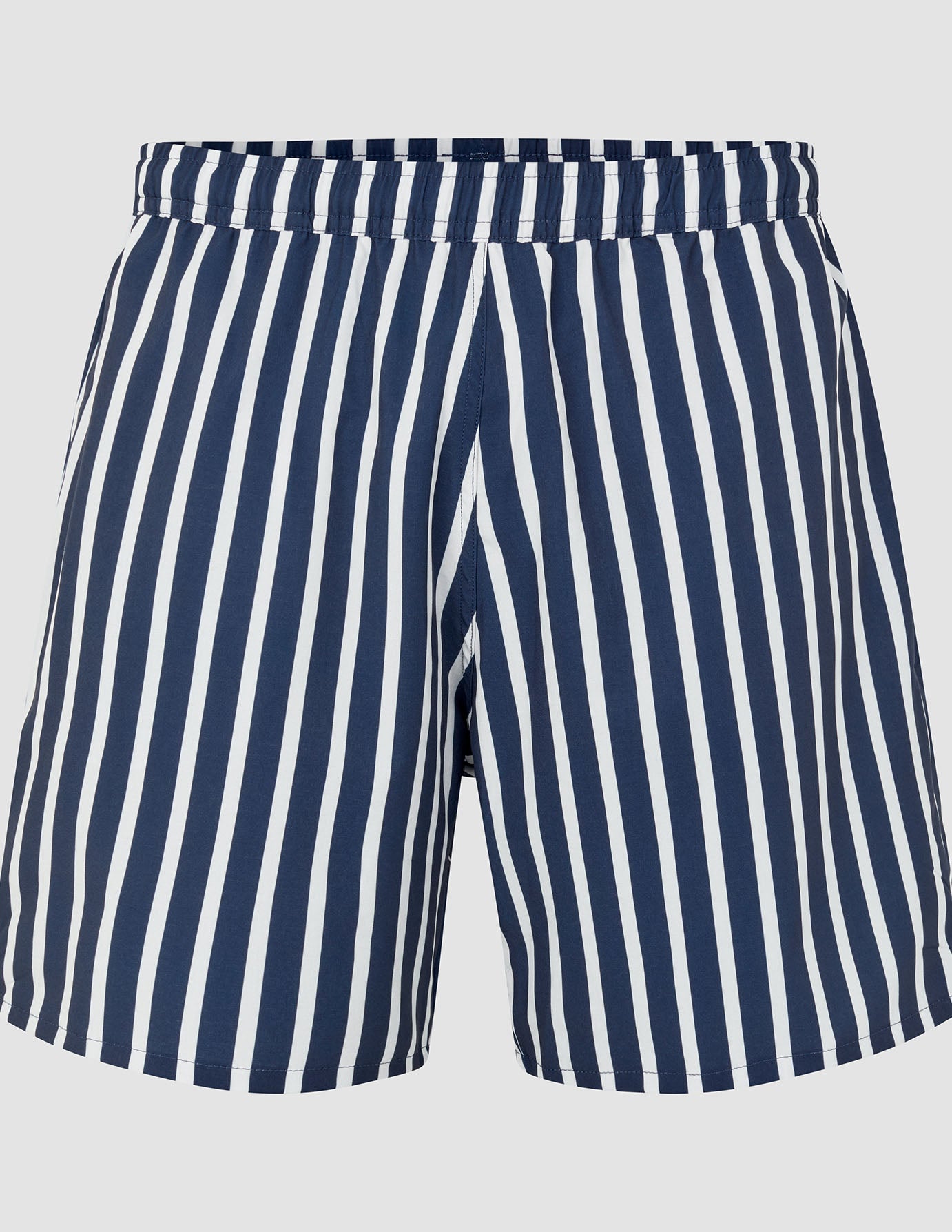 Swim Shorts Navy Stripe